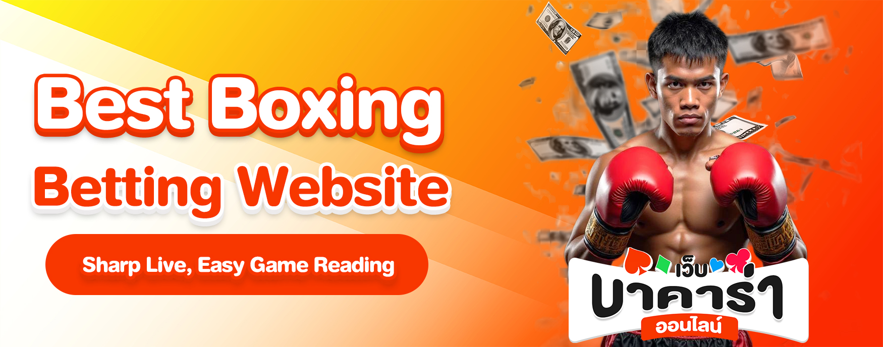 Best Boxing Betting Website