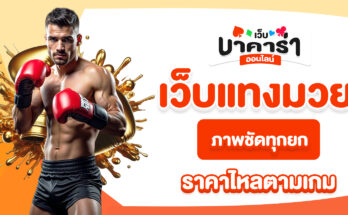 เว็บแทงมวย